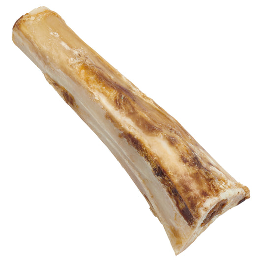 All Natural Stuffed Shin Bone for Dogs